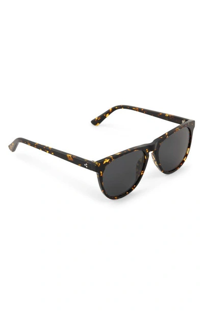 Diff Darren 55mm Polarized Round Sunglasses In Brown Multi
