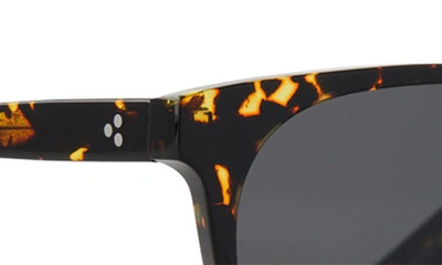 Diff Darren 55mm Polarized Round Sunglasses In Brown Multi