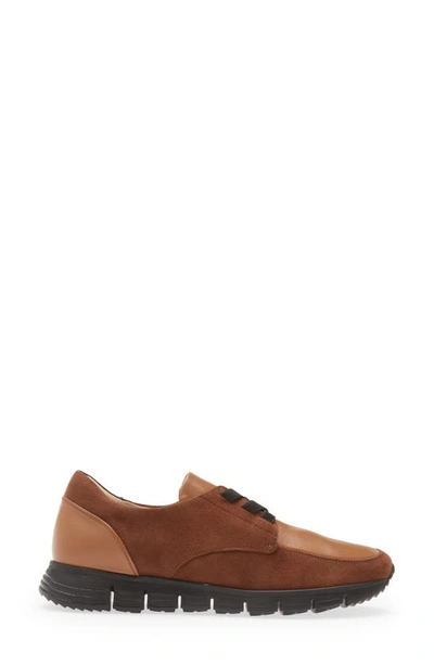 Amalfi By Rangoni Jill Sneaker In Castagno Cashmere