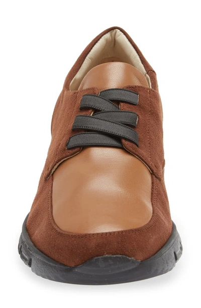 Amalfi By Rangoni Jill Sneaker In Castagno Cashmere