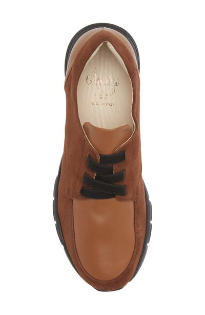 Amalfi By Rangoni Jill Sneaker In Castagno Cashmere