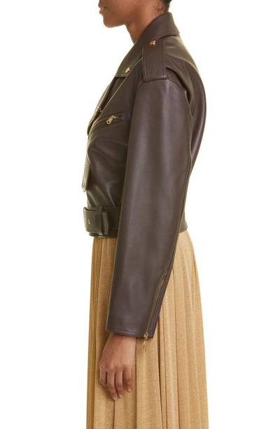 Zimmermann Luminosity Leather Biker Jacket In Espresso