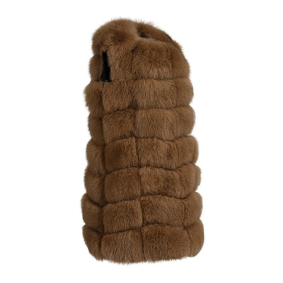 Wanan Touch Loki Brown Vest In Fox Fur