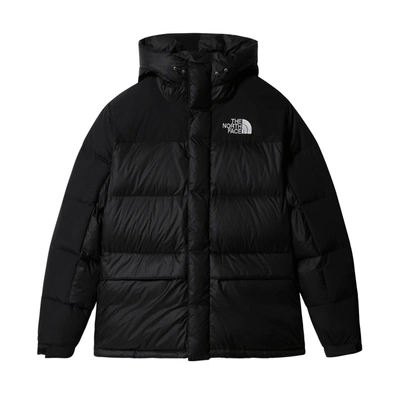 Shop The North Face M Hmlyn Down Parka In Tnf Black