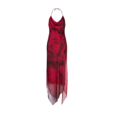 Shop Alberta Ferretti Chiffon Dress With Pink Print In Rosso