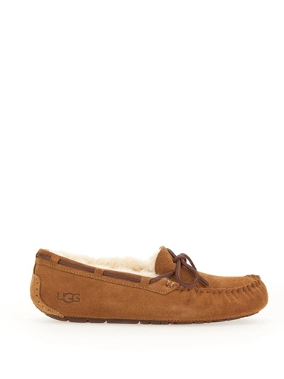 Shop Ugg Dakota Shoe In Marrone