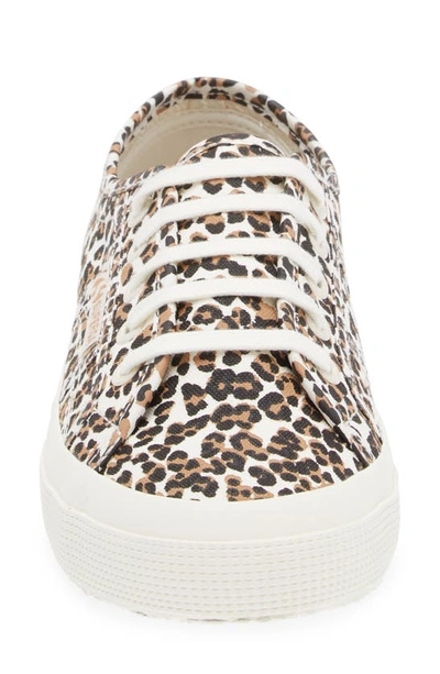 Shop Superga 2750 Sneaker In Light Classic Leopard Favorio