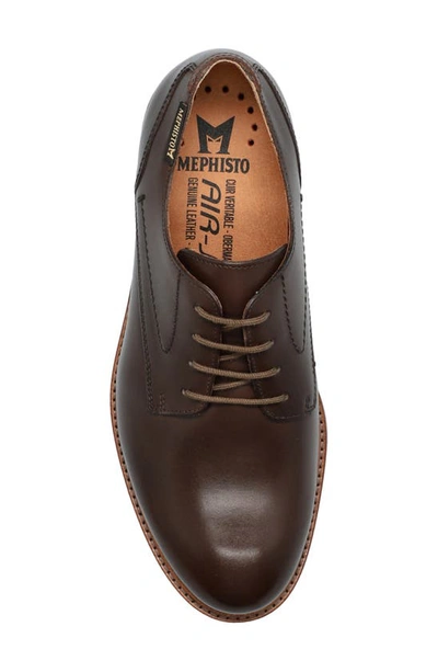 Shop Mephisto Falco Derby In Dark Brown