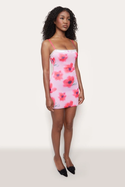 Shop Danielle Guizio Ny Mesh Mini Dress In Water Floral