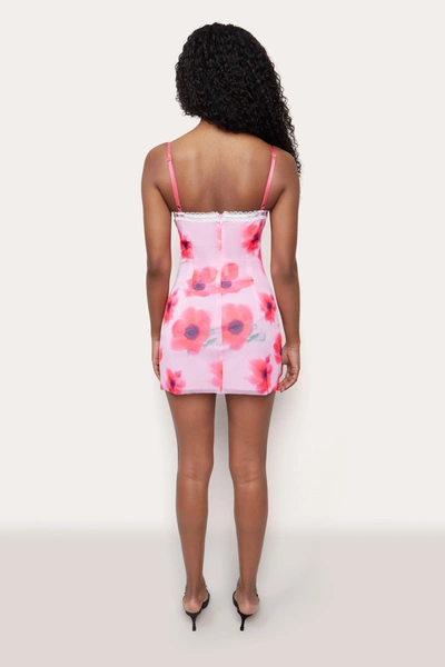 Shop Danielle Guizio Ny Mesh Mini Dress In Water Floral