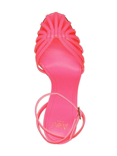 Shop Alevì 'ally' Sandals In Fuchsia