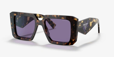 Shop Prada Women's Pr23ys 2au05q Tortoise Frame Purple Lens Sunglasses In Brown