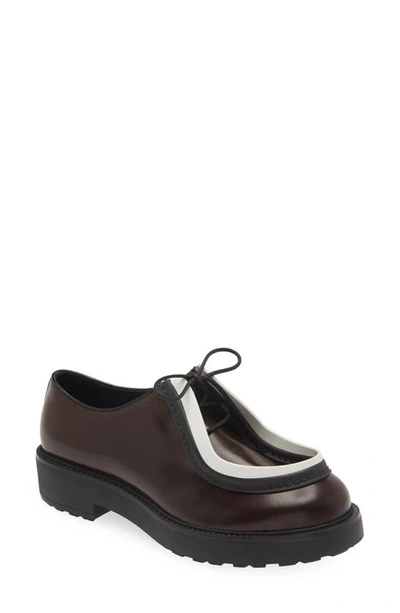 Prada chukka top