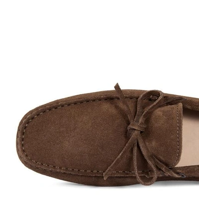 Shop Tod's Gommino Driving Shoes In Suede In Brown
