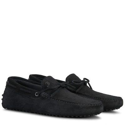 Tod's Black Suede Gommino Driving Shoes In Black