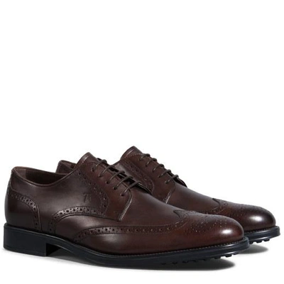 Shop Tod's Leather Lace-up Shoes In Brown