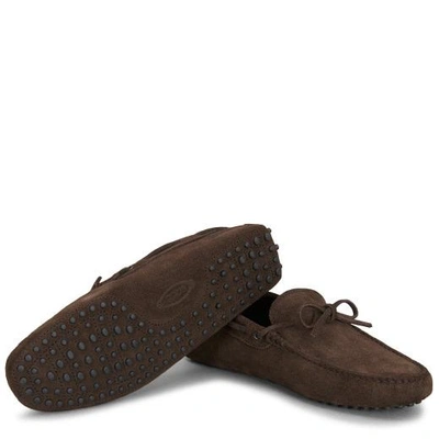 Tod's Gommino Suede Driving Loafers In Brown