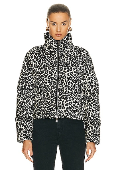 Moncler Sebou Jacket In Black