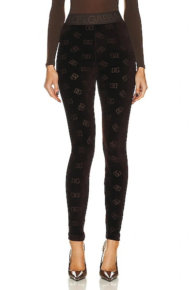 Shop Dolce & Gabbana High Waisted Pant In Dark Brown
