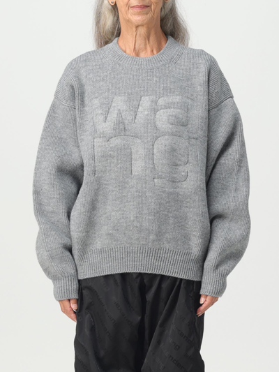 Shop Alexander Wang Knitted Sweater In Grey