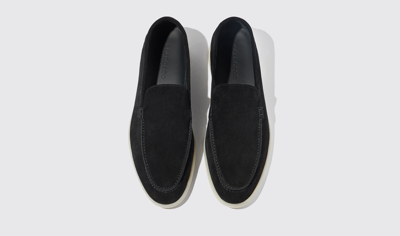 Scarosso Ludovica Black Suede Edit In Black Edit - Suede