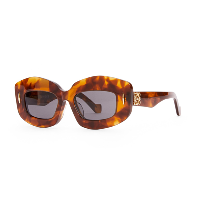 Shop Loewe Lw40114i 53a Sunglasses In Marrone