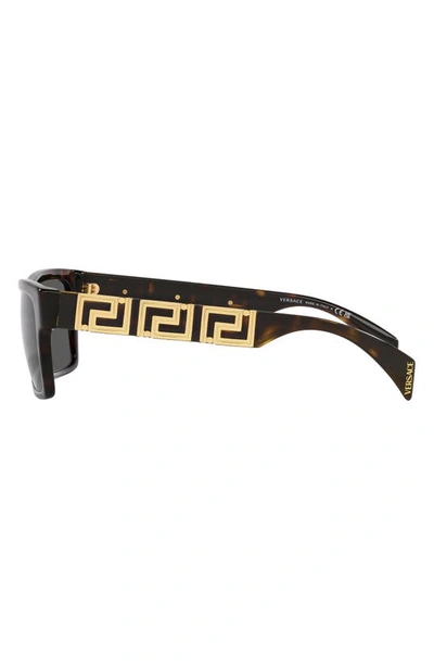 Shop Versace 54mm Rectangular Sunglasses In Havana