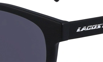 Shop Lacoste 54mm Modified Rectangular Sunglasses In Matte Black