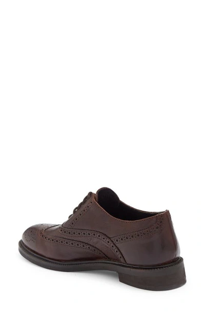 Shop Jeffrey Campbell Moyra Oxford In Brown