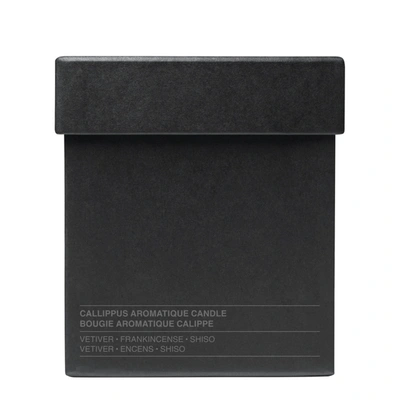 Shop Aesop Callippus Candle In Default Title