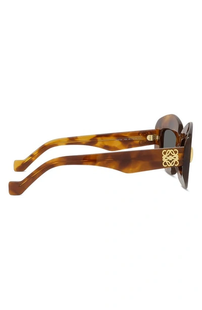 Loewe Silver Screen 49mm Rectangular Sunglasses In Havana