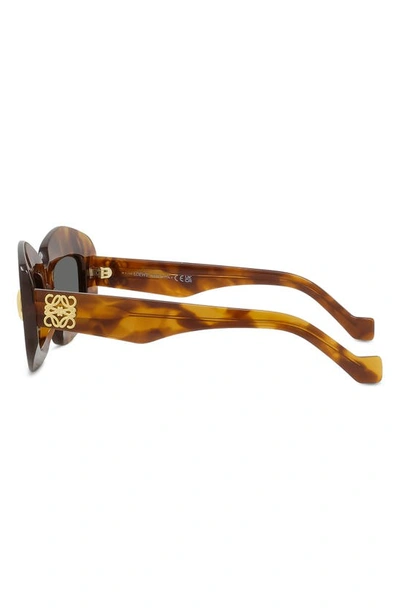 Loewe Silver Screen 49mm Rectangular Sunglasses In Havana