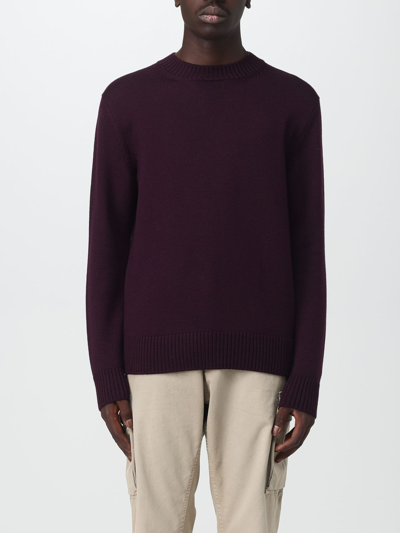 Shop Altea Sweater  Men Color Burgundy