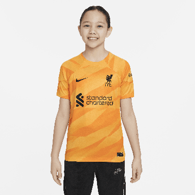 Shop Nike Liverpool Fc 2023/24 Stadium Goalkeeper Big Kids'  Dri-fit Short-sleeve Soccer Jersey In Yellow
