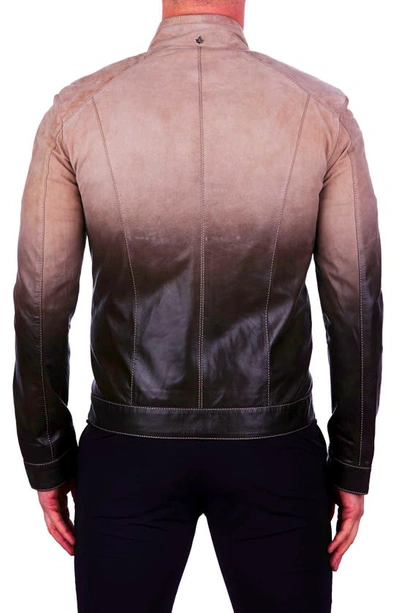 Shop Maceoo Degrade Ombré Leather Jacket In Brown