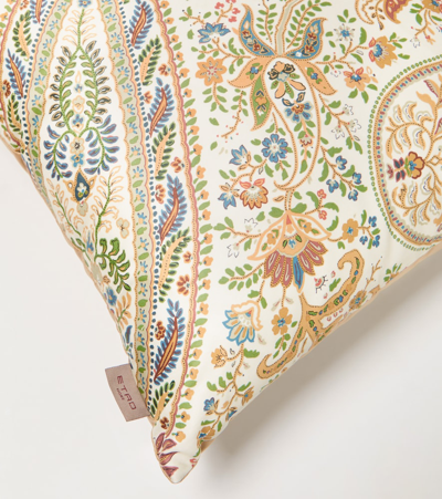 Shop Etro Embroidered Cotton Cushion In Beige