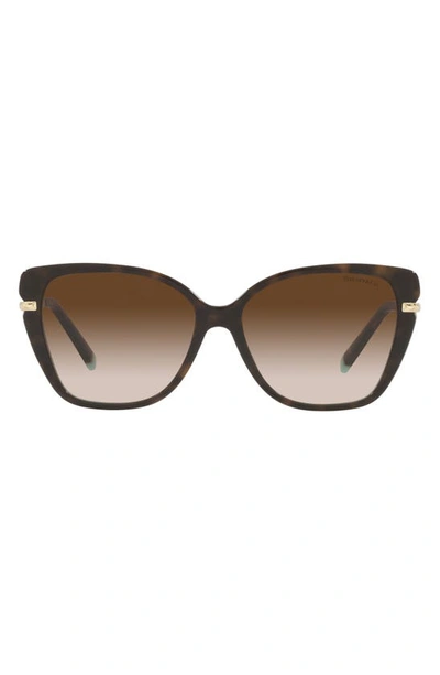 Shop Tiffany & Co 57mm Gradient Cat Eye Sunglasses In Havana