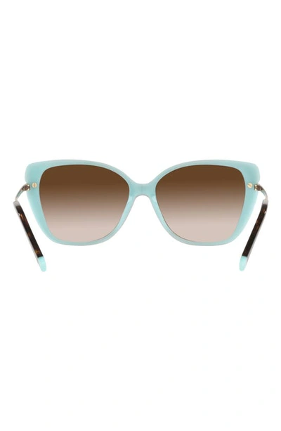 Shop Tiffany & Co 57mm Gradient Cat Eye Sunglasses In Havana