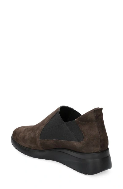 Shop Mephisto Ibelina Wedge Slip-on Sneaker In Dark Brown