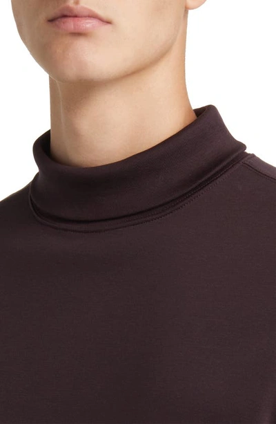 Robert Barakett Georgia Cotton Turtleneck In Port