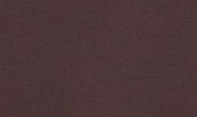 Robert Barakett Georgia Cotton Turtleneck In Port