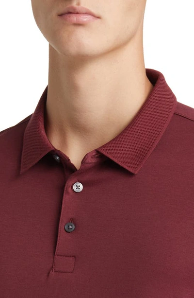 Shop Robert Barakett Georgia Long Sleeve Polo In Berry