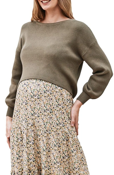 Angel Maternity Sylvie Cotton Maternity Sweater In Olive
