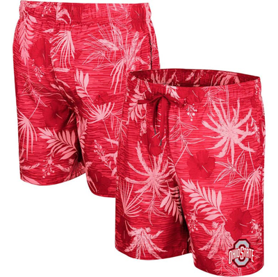 Shop Colosseum Scarlet Ohio State Buckeyes What Else Is New Swim Shorts