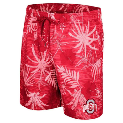 Shop Colosseum Scarlet Ohio State Buckeyes What Else Is New Swim Shorts