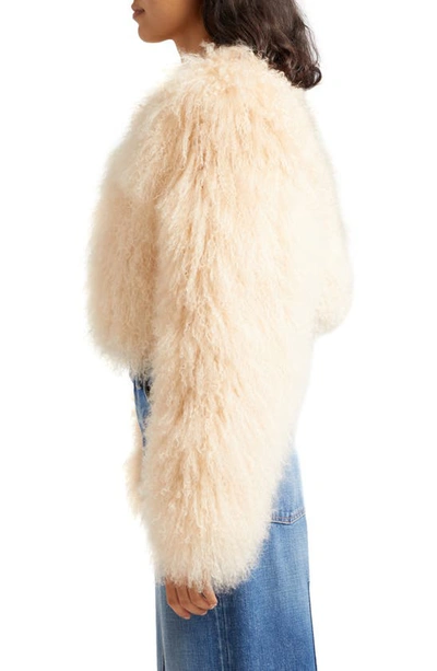 Shop Retroféte Luxe Genuine Shearling Crop Jacket In Tannin