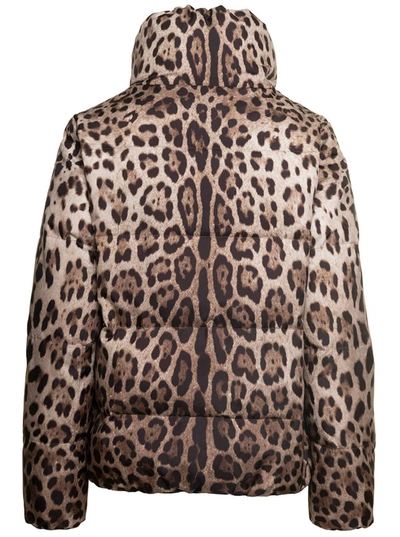 Shop Dolce & Gabbana Brown Down Jacket With High-neck With All-over Leo Print In Nylon Woman