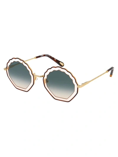 Shop Chloé Chloe Sunglasses In 256 Havana Rose