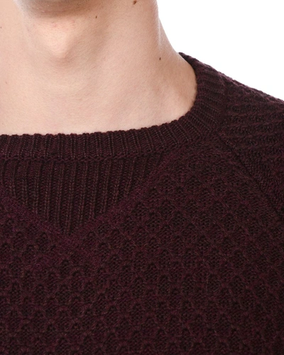 Shop Daniele Alessandrini Sweater In Wine