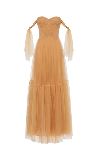 Shop Elisabetta Franchi Dress In Brown